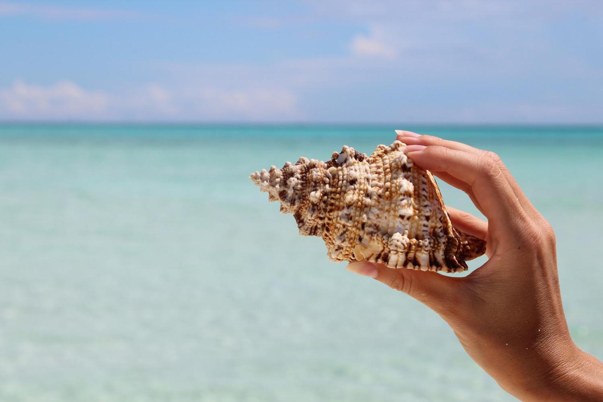 Mamello Beach Club Maldives Feridhoo Luaran gambar