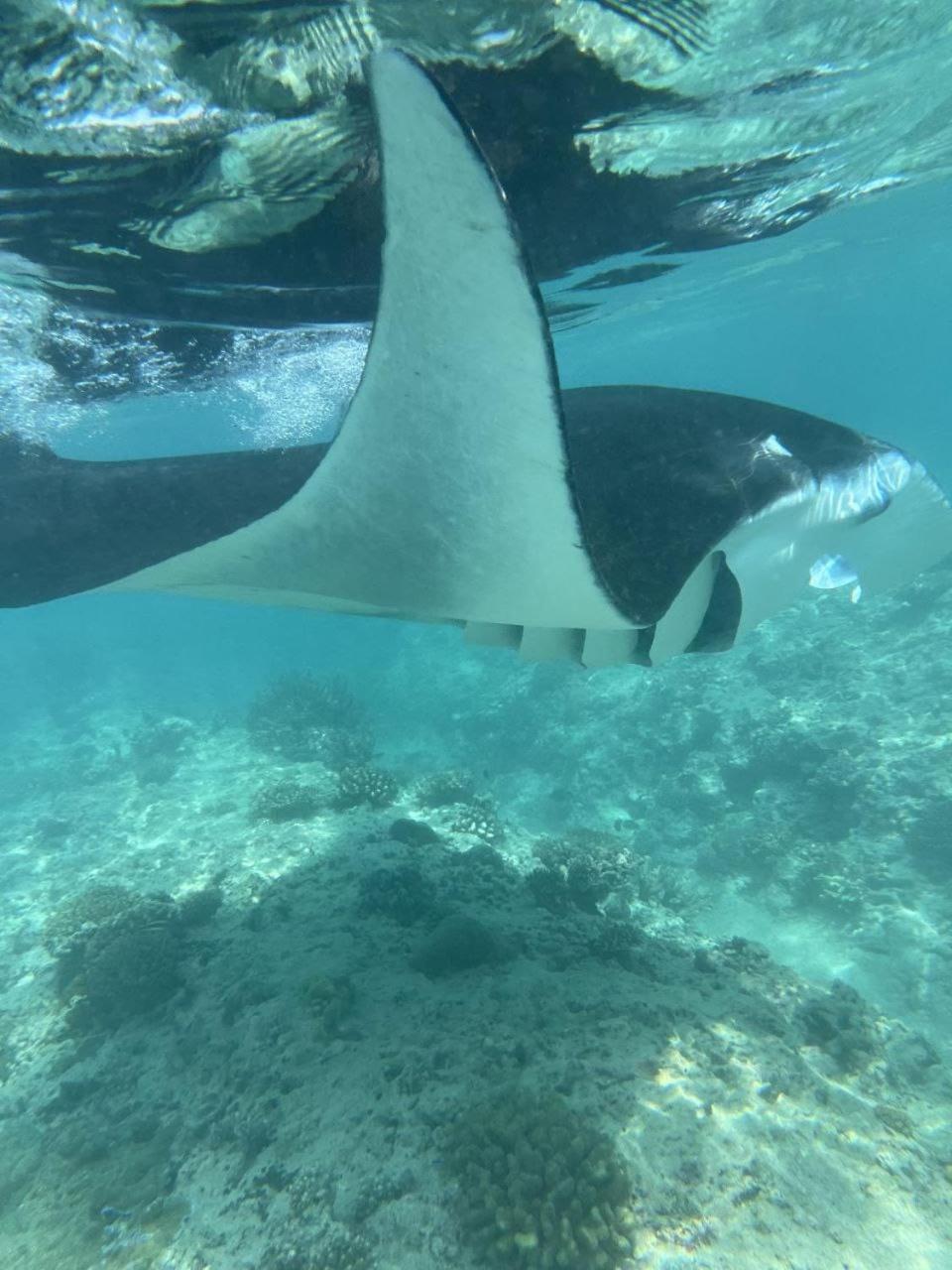 Mamello Beach Club Maldives Feridhoo Luaran gambar
