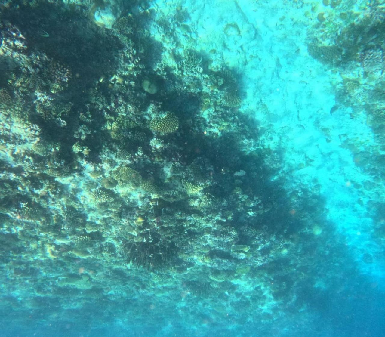 Mamello Beach Club Maldives Feridhoo Luaran gambar
