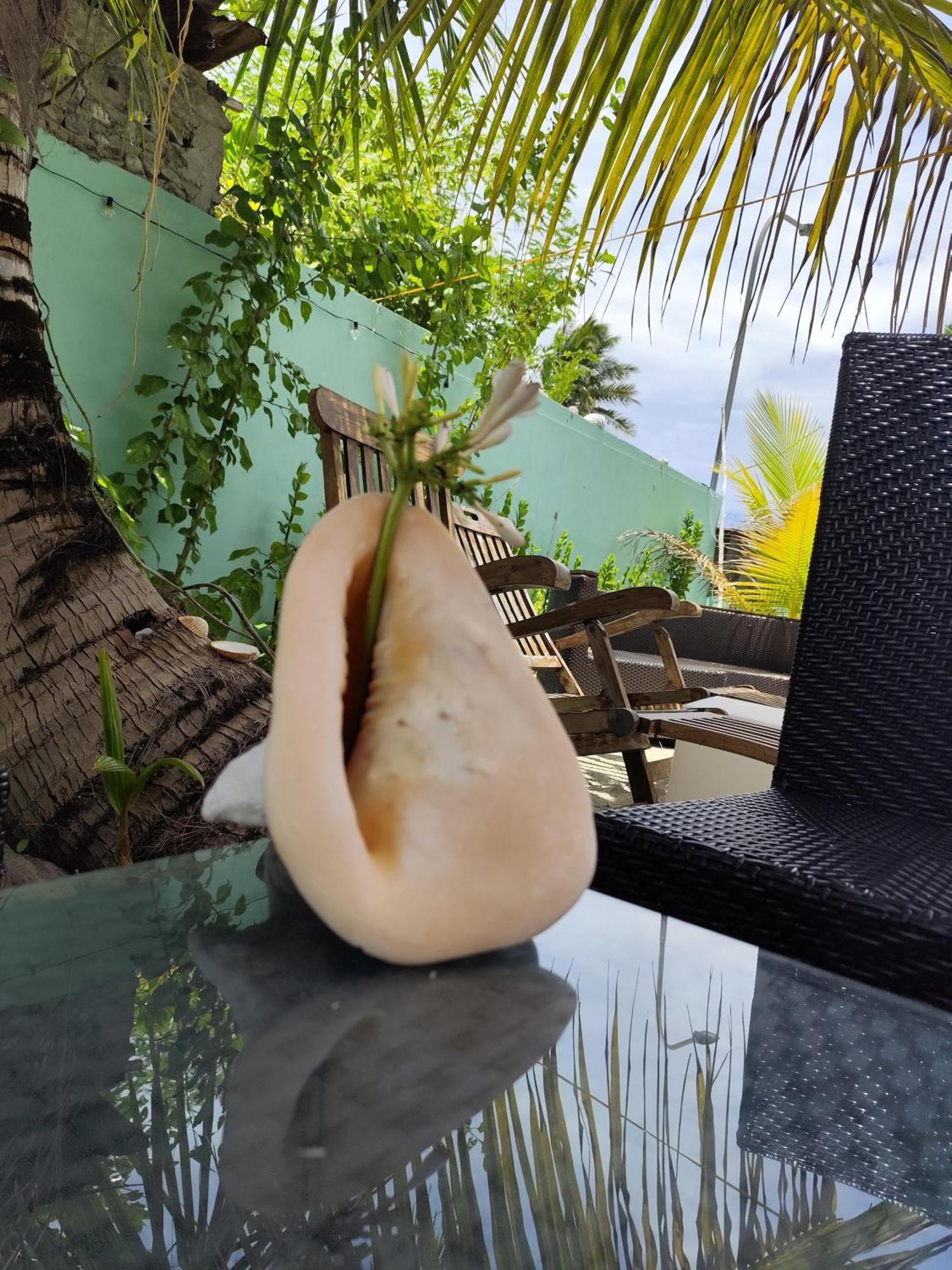 Mamello Beach Club Maldives Feridhoo Luaran gambar